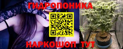 скорость Будённовск