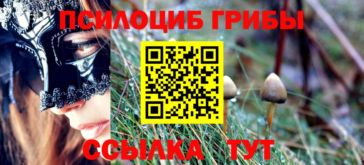 Галлюциногенные грибы Psilocybine cubensis Североморск