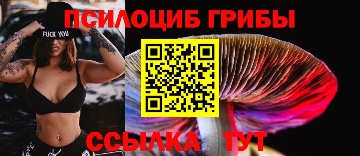 Североморск  Псилоцибиновые грибы Cubensis  Вход с VPN 
